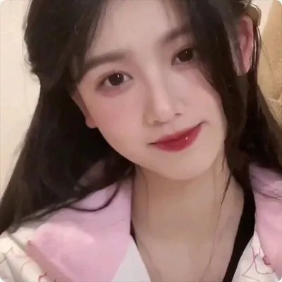 完美的独裁国家